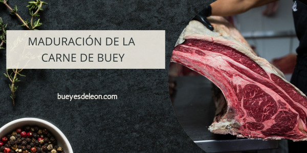 Maduración de la carne de buey: Guía para conocer la verdadera calidad