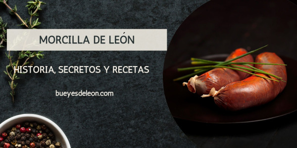 Guía definitiva de la morcilla de León: Historia, secretos y recetas