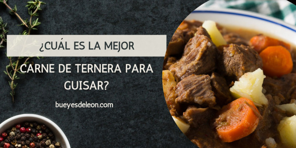 ¿Cuál es la mejor carne de ternera para guisar? Descubre los secretos de los expertos