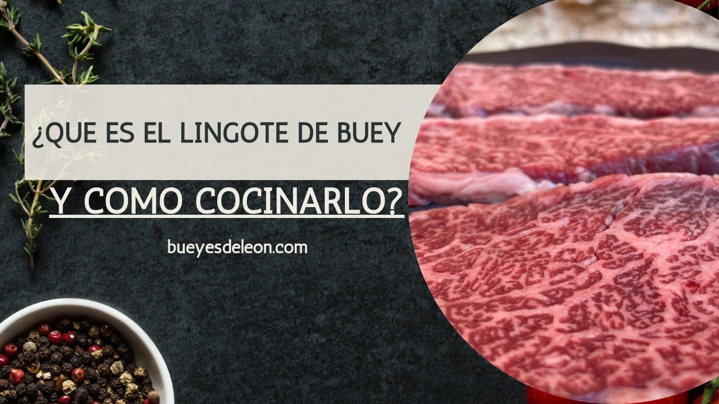 ¿Qué es el Lingote de Buey y cómo cocinarlo?